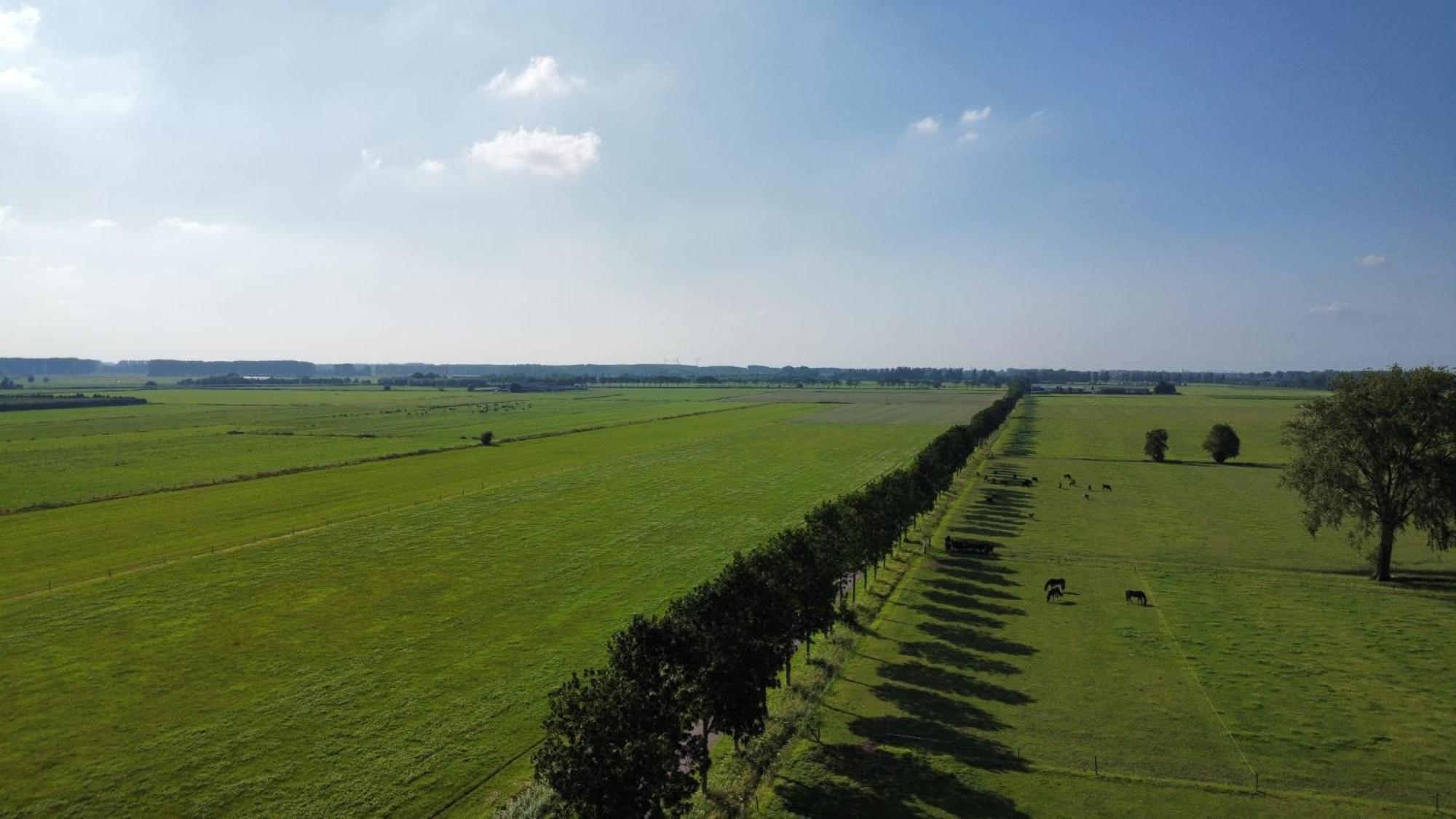 Landelijke Huis In De Betuwe Tricht Εξωτερικό φωτογραφία