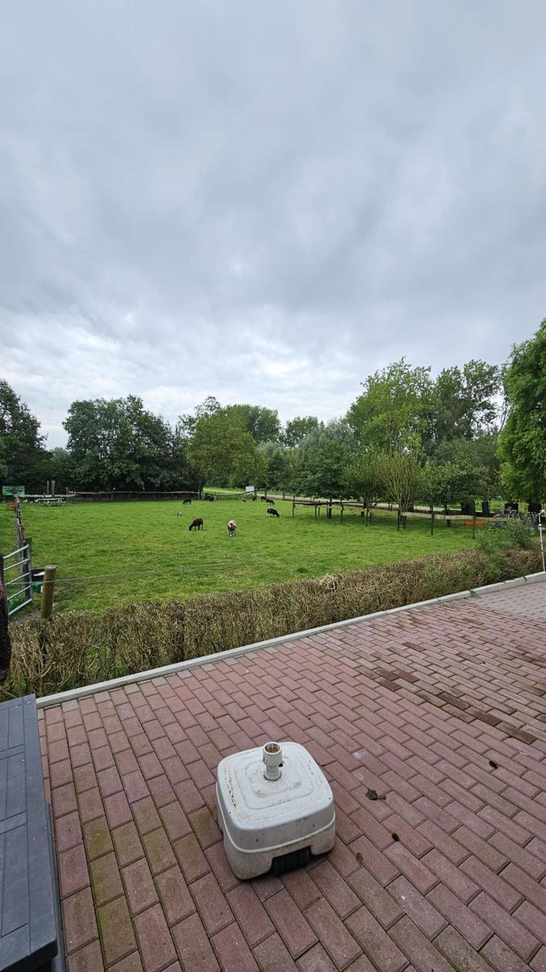 Landelijke Huis In De Betuwe Tricht Εξωτερικό φωτογραφία